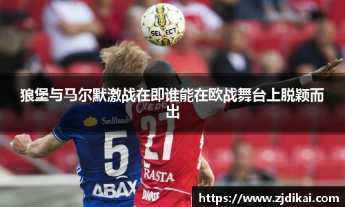 bo竞博
